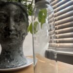 Etched Glass Bottle
