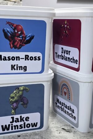 5 litre Ice Cream Stationery Box Labels